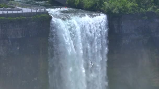 4k Bridal Veil Falls Tilt naar beneden — Stockvideo