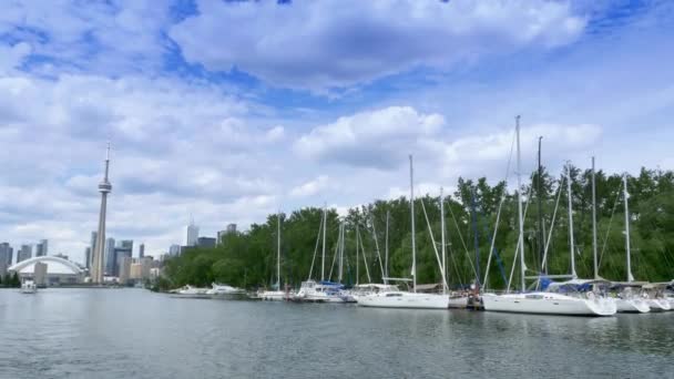 4K Marina on Toronto Island with CN Tower in Background — Stock Video