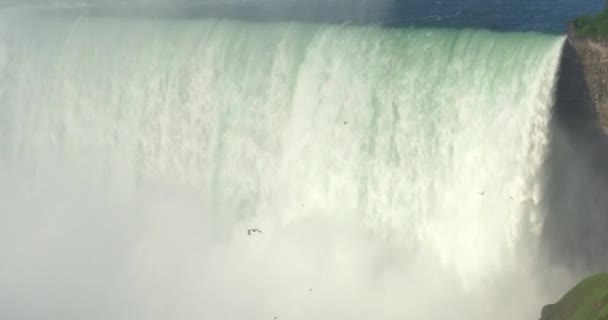 4K Horseshoe Falls Establishing Shot — Stock Video