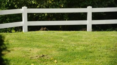 4 k atma uydu anteni