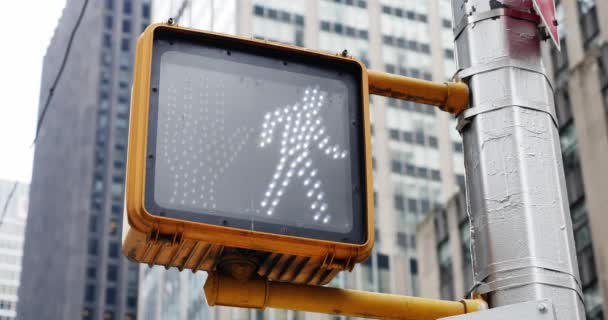 4K Manhattan Walk Don't Walk Sign Detail — Stock Video