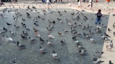 Plaza de Catalunya turistler