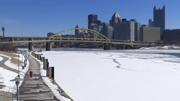 Winter Pittsburgh City Establishing Shot — Stok Video