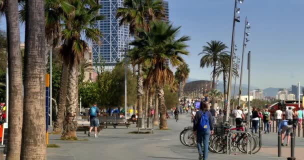Los visitantes disfrutan de la soleada zona de paseo marítimo de Barcelona a principios de otoño . — Vídeos de Stock