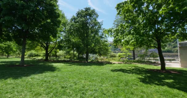 Pittsburgh Point State Park Placa de fundo — Vídeo de Stock