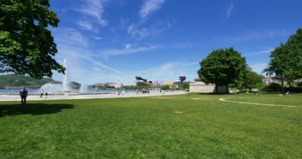 Pittsburgh Point State Park Placa de fundo — Vídeo de Stock