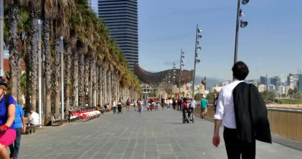 Visitors enjoy the sunny boardwalk area of Barcelona in the early Fall. — Stock Video