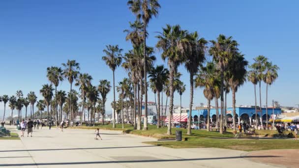 Venice Beach atış kurulması — Stok video