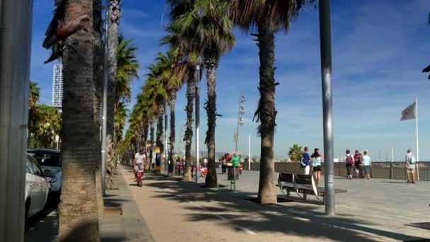 Bezoekers genieten van het zonnige promenade gebied van Barcelona in de vroege herfst. — Stockvideo