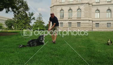 Bir adam Capitol Hill ilçe Washington, DC Kongre Kütüphanesi çim köpeğiyle oynuyor.