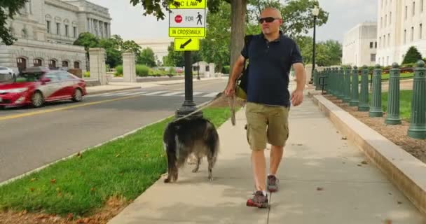 Bir adamın köpeğini Capitol Hill ilçe Washington, DC Kongre Kütüphanesi yakınındaki girer. — Stok video
