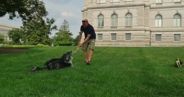 Чоловік грає зі своєю собакою на галявині Конгресової бібліотеки на Капітолійському пагорбі округу штату Вашингтон, округ Колумбія. — стокове відео