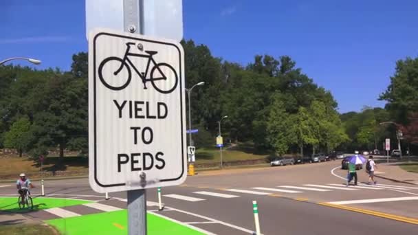 Um homem de idade universitária monta sua bicicleta perto de Schenley Park, na área de Oakland em Pittsburgh, PA. Tiro a 60fps . — Vídeo de Stock