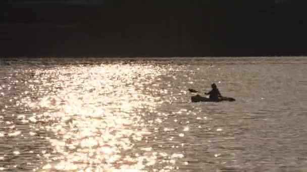 En paddlare på Ohio River nära Point State Park i Pittsburgh. — Stockvideo