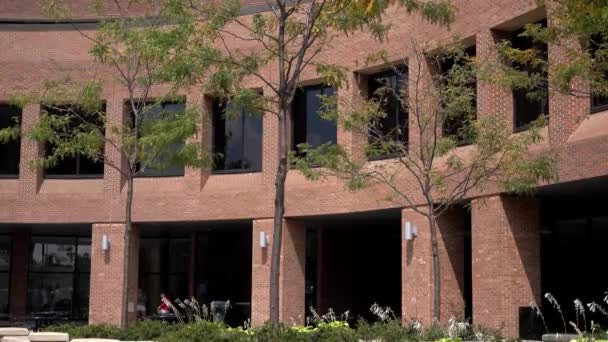 A generic daytime establishing shot of a corner office building. — Stock Video