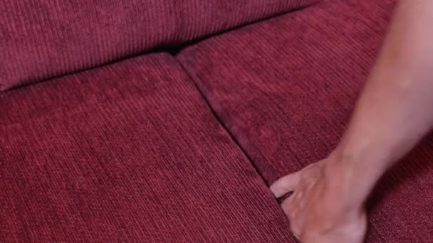 Wyszukiwanie i znalezienie telewizji zdalnego między poduszki sofą. — Wideo stockowe