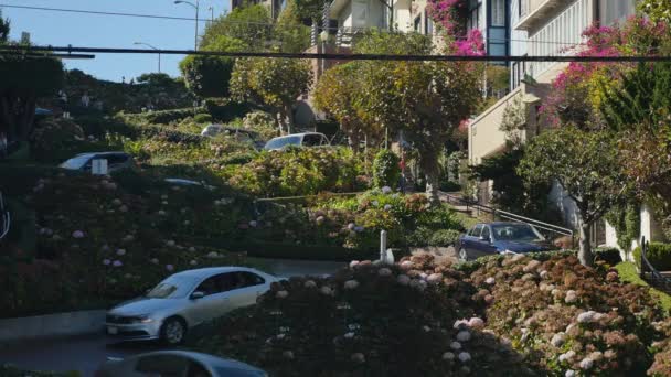 Autos fahren die Lombard Street in San Francisco entlang — Stockvideo