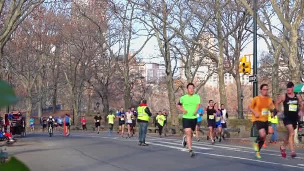 Central Park Marathon Runners — Stock Video