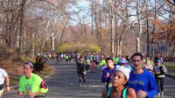 Central Park Marathon Runners — Stock Video