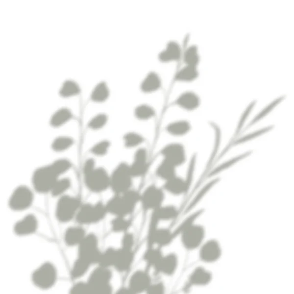 Abstrakt skugga överlagring svart och vitt. Eukalyptusväxter, bladverk, bukett. — Stockfoto