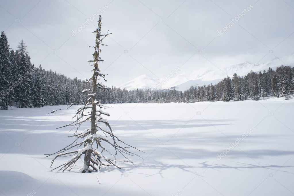 Winter scene of a lake