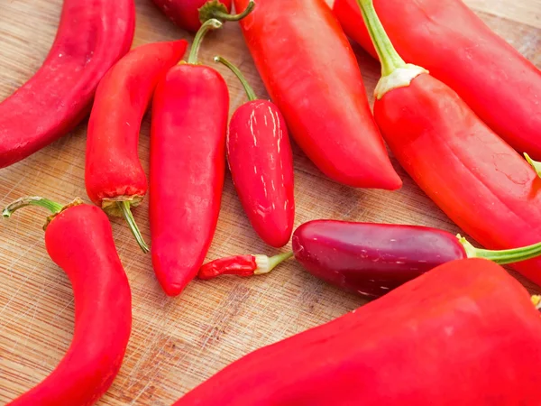 Colorful chili peppers — Stock Photo, Image