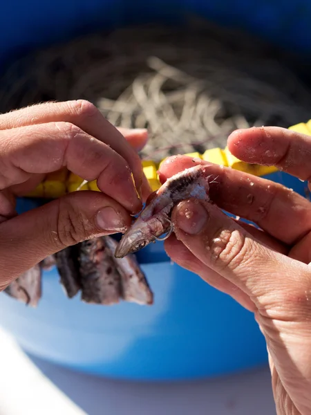 Pescador que trabaja en la herramienta de pesca de palangre — Foto de Stock