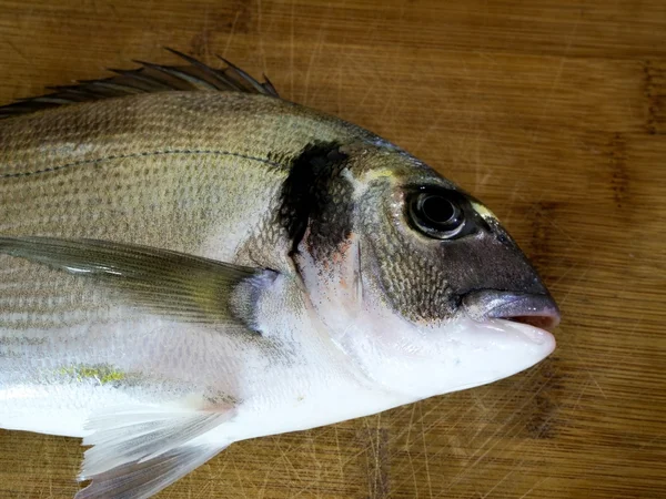 Çipura balık ahşap tahta üzerinde — Stok fotoğraf