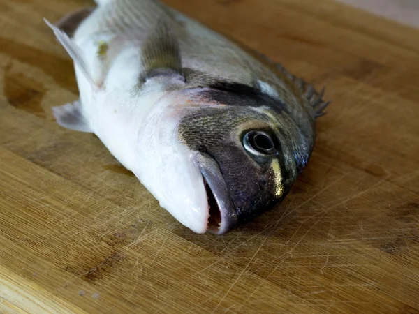Taze çipura balık ahşap tahta üzerinde — Stok fotoğraf
