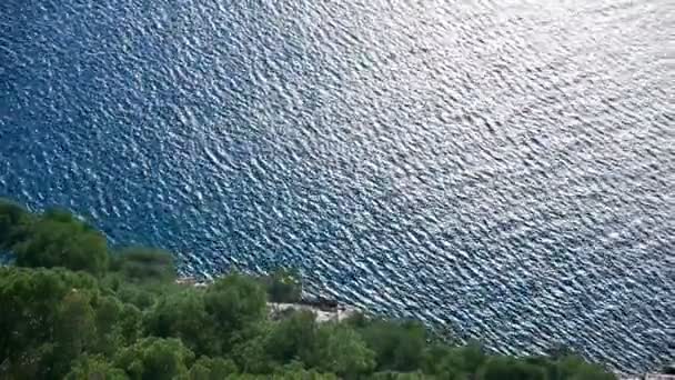 Blauwe zee en dennen bomen — Stockvideo