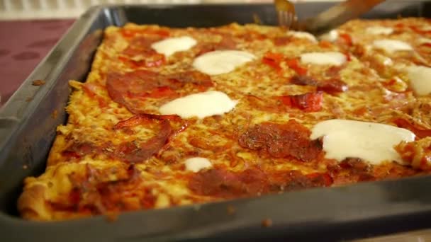 Hemlagad pizza närbild — Stockvideo