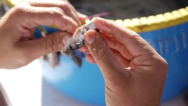 Pescador preparando herramientas — Vídeos de Stock