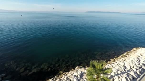 Landscape scene of sea and palm tree — Stock Video