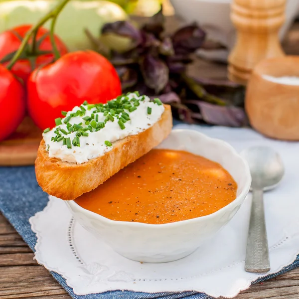 Pappa al pomodoro, domates ve ekmek çorbası — Stok fotoğraf