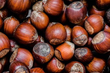 Kabuksuz Fındık Yapısı, Arkaplan, Duvar Kağıdı, kapat