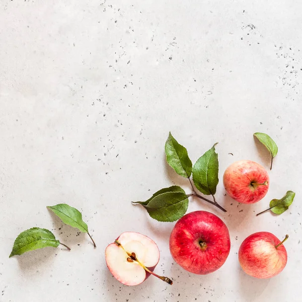 成熟红苹果与叶子 纹理混凝土背景 正方形 复制空间为您的文字 — 图库照片