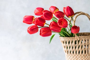 Sepette bir sürü kırmızı lale çiçeği, metin için boşluk kopyala