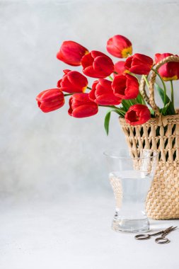 Sepette bir sürü kırmızı lale çiçeği, metin için boşluk kopyala