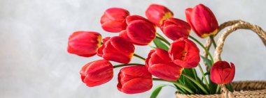Sepet, pankart, metin için kopyalama alanı içinde bir sürü kırmızı lale çiçeği