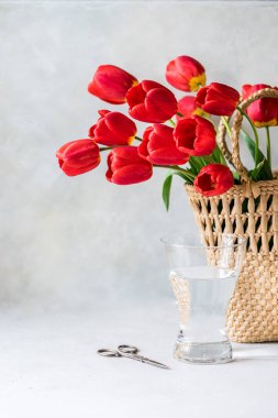 Sepette bir sürü kırmızı lale çiçeği, metin için boşluk kopyala