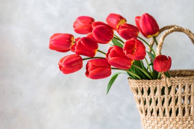 Sepette bir sürü kırmızı lale çiçeği, metin için boşluk kopyala