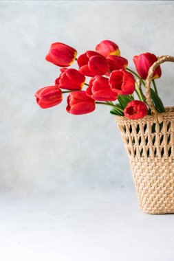 Sepette bir sürü kırmızı lale çiçeği, metin için boşluk kopyala