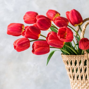 Bir Sepet içinde Kırmızı Lale Çiçekleri Bir demet, kare, metin için kopyalama alanı