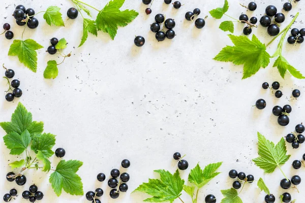 Frische Rohe Schwarze Johannisbeeren Und Blätter Als Rahmen Arrangiert Kopieren — Stockfoto