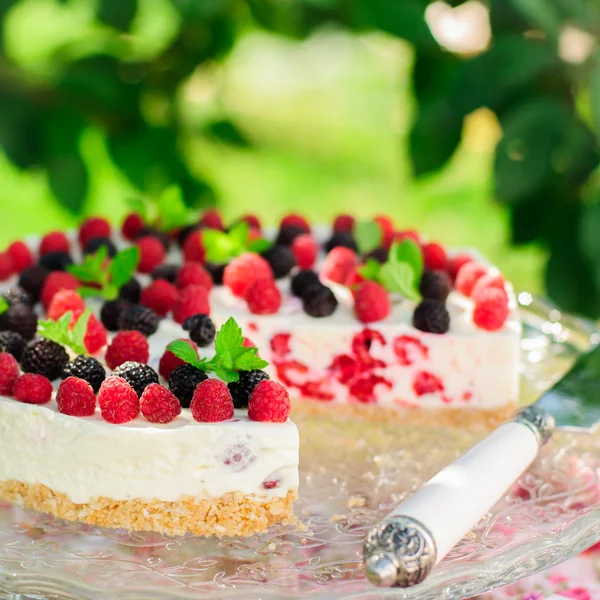 Neen-bak raspberry cheesecake — Stockfoto