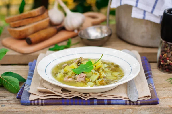 A Plate of Sorrel Soup — Stock Photo, Image