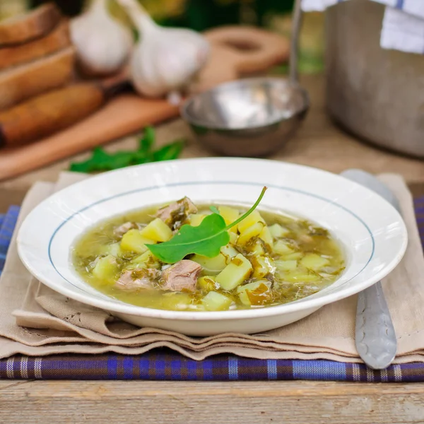 A Plate of Sorrel Soup — Stock Photo, Image