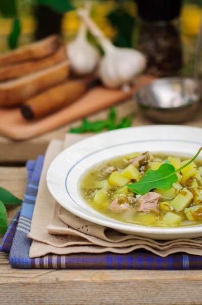 A Plate of Sorrel Soup — Stock Photo, Image