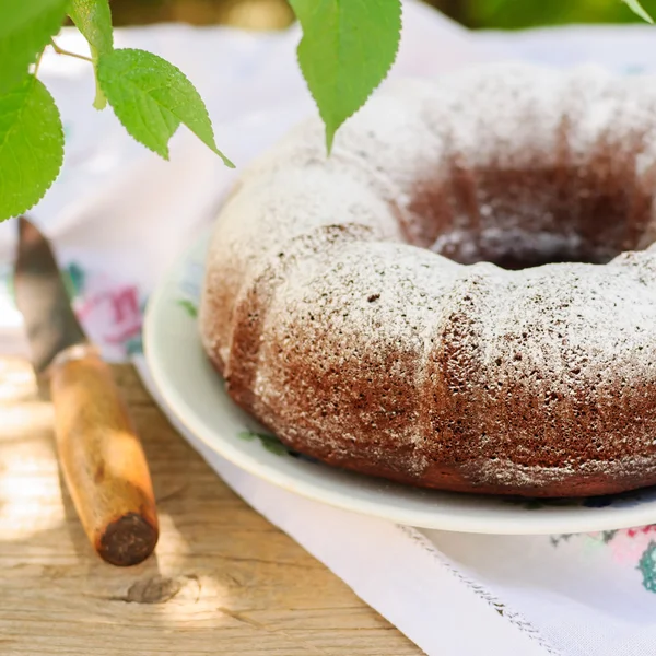 Фрагменти сільському стилі Bundt торт посипати цукрової пудри — стокове фото