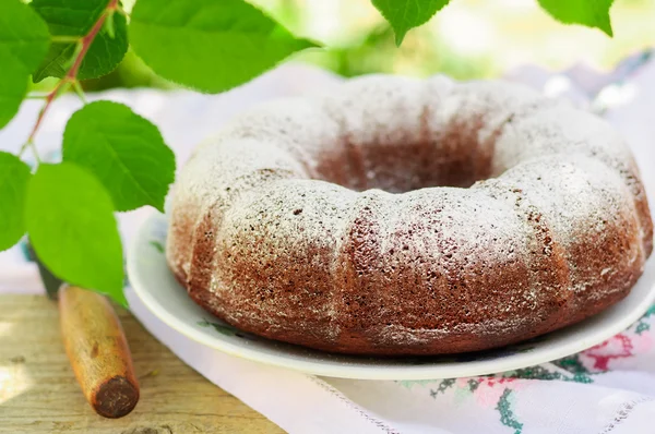 Сельский стиль Bundt торт посыпанный сахарной глазури — стоковое фото